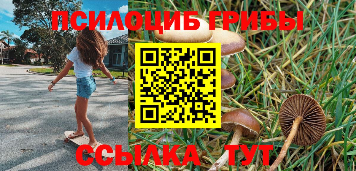Псилоцибиновые грибы ЛСД Апатиты