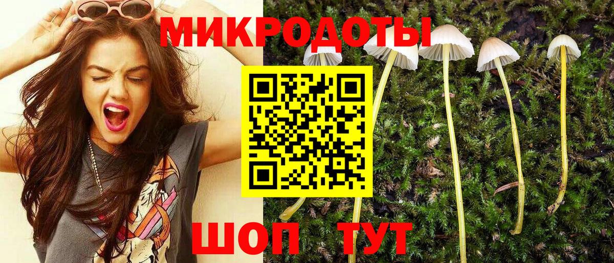 Апатиты  Псилоцибиновые грибы прущие грибы  Псилоцибиновые грибы мицелий  Вход с VPN 